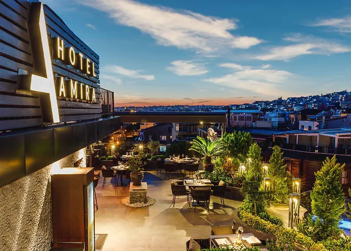 Amira 4*